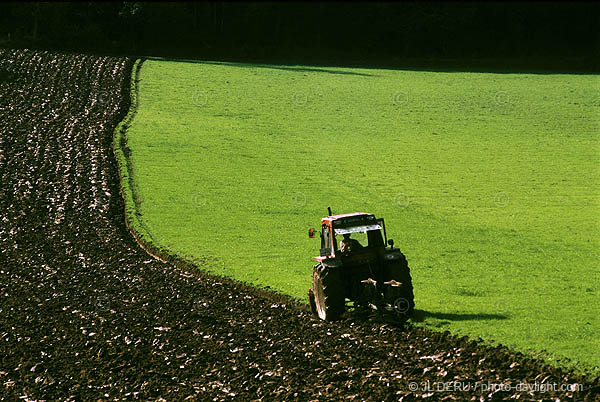 agriculture